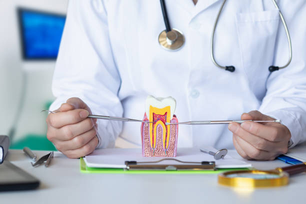 Best Knocked-Out Tooth (Avulsed Tooth) Treatment in Rancho Viejo, TX